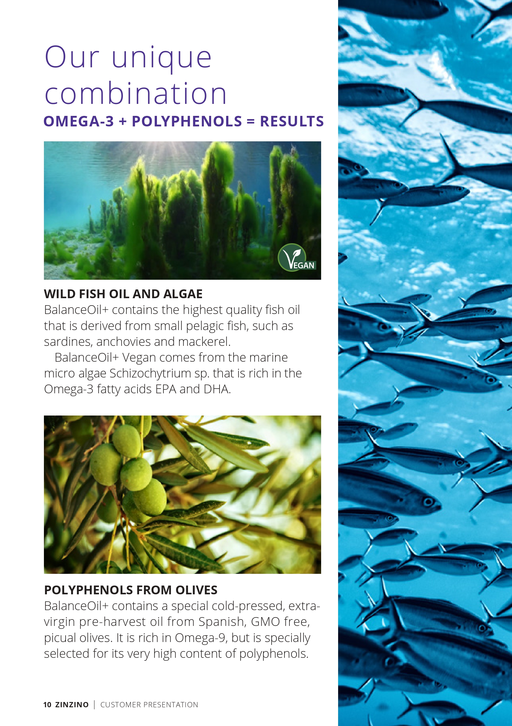 CustomerPresentation-en-GB_pages-to-jpg-0010