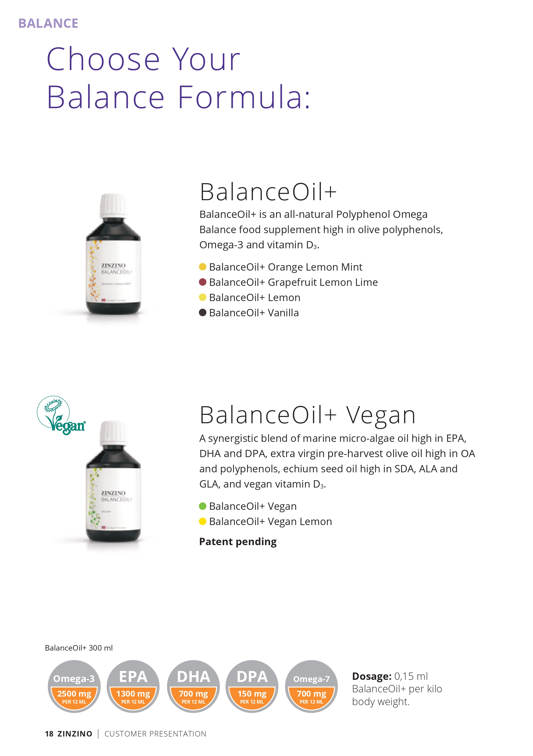 CustomerPresentation-en-GB_pages-to-jpg-0018