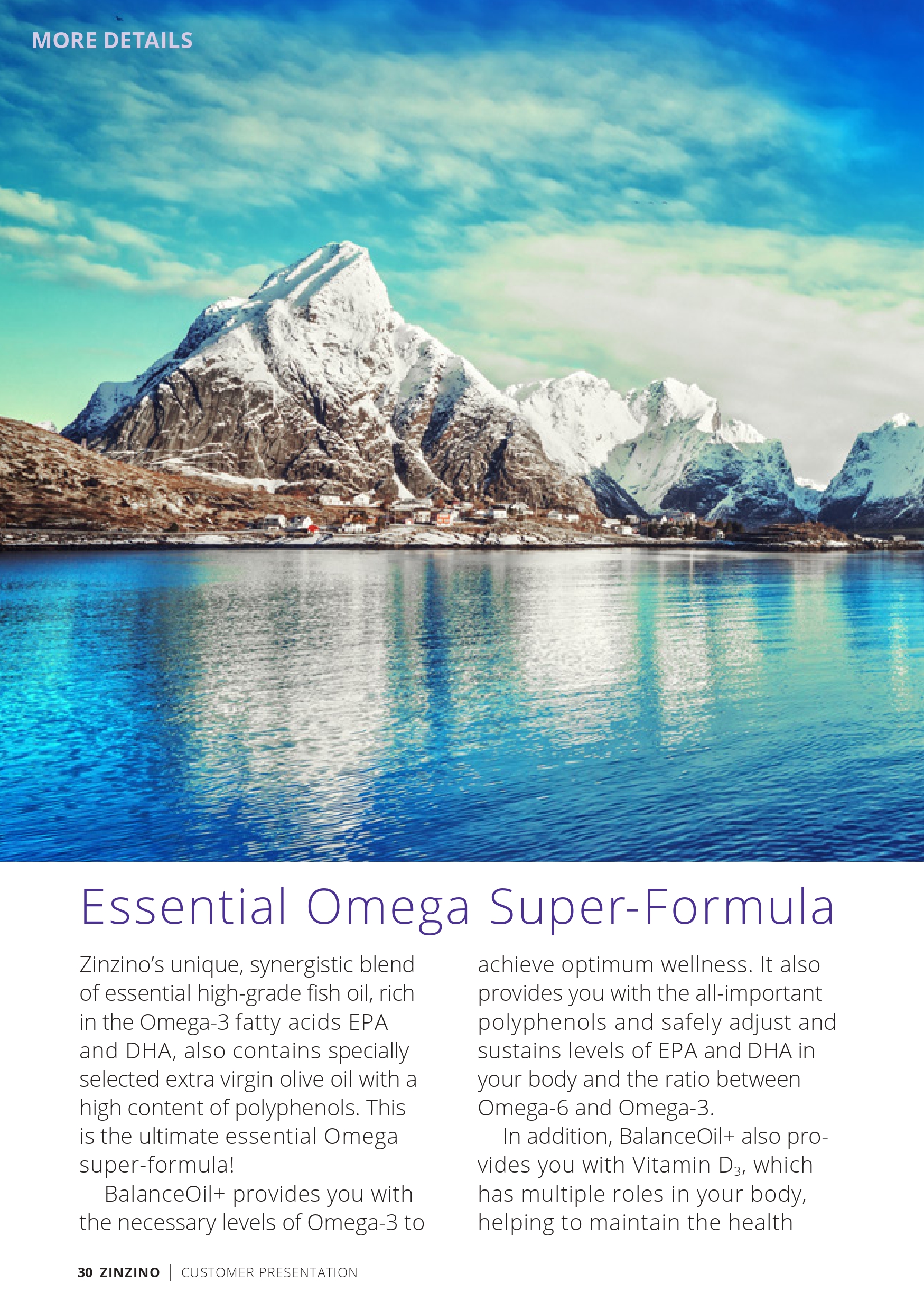 CustomerPresentation-en-GB_pages-to-jpg-0030