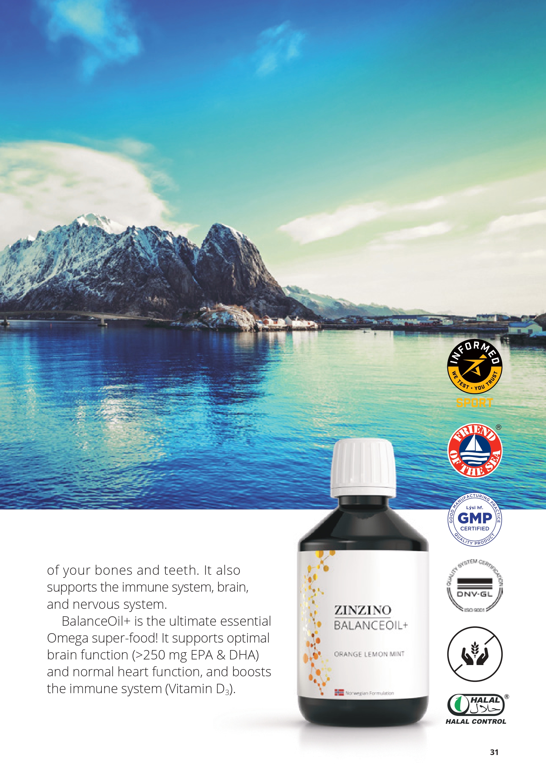 CustomerPresentation-en-GB_pages-to-jpg-0031